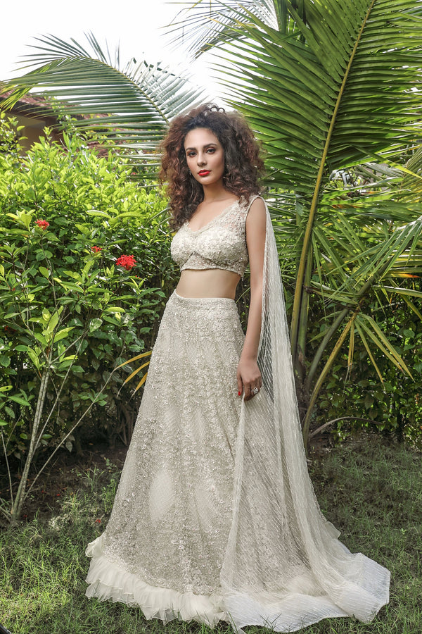 heavy embroidered lehenga and blouse