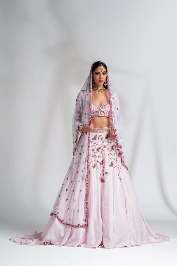 Light pink soft silk lehenga completely hand embroidered
