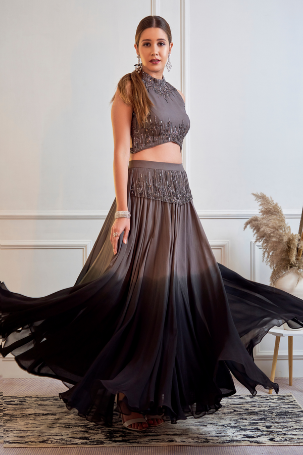 Embellished Grey Crop Top and Ombre Skirt Set