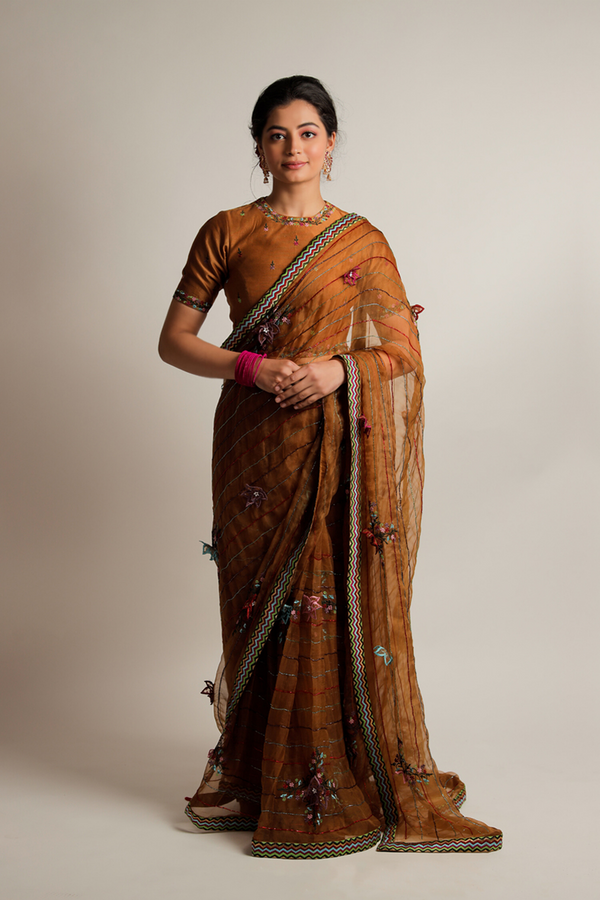 Brown Organza Saree with Embroidered Blouse